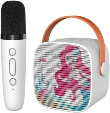 Karaoke Mic W Speaker